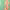 https://res.cloudinary.com/billionhands/image/upload/v1782311844/items/dfcttjwhde1piapvrm6s.jpg-1cover