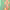 https://res.cloudinary.com/billionhands/image/upload/v1782311845/items/sx6ui4dakcoebxgtlt6h.jpg-2cover