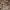 https://res.cloudinary.com/billionhands/image/upload/v1782312752/items/as5ggsteplhvdvstbnvh.webp-0cover