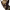 https://res.cloudinary.com/billionhands/image/upload/v1782314092/items/naqopbxl5vwkiubsqpni.webp-3cover