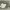 https://res.cloudinary.com/billionhands/image/upload/v1782318282/items/pjziesvlrje3l6gg3zzg.jpg-3cover