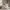 https://res.cloudinary.com/billionhands/image/upload/v1782321100/items/ckny9smqlfokgrnpades.jpg-2cover