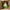 https://res.cloudinary.com/billionhands/image/upload/v1782321760/items/iffg9ddy2ebk1zvkeiqd.webp-2cover