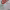 https://res.cloudinary.com/billionhands/image/upload/v1782322413/items/xf0upf8camqax4atplcv.webp-2cover