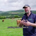 Most Innovative Cattle Farming Techniques in Spain cover