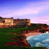 Pampered Pets: Top Pet-Friendly Hotels Around the World cover
