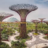 Best cities to live in globally cover