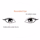 Las formas de ojos más atractivas para las mujeres cover