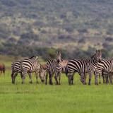 Top Most Breathtaking National Parks in Africa cover