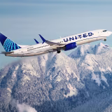 Pawsome Skies: Top Airlines for Pet-Friendly Travel cover