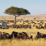 Top National Parks in the World for Unforgettable Adventures cover