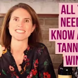 Top diferencias entre los tipos de vino y cómo elegir el adecuado cover