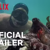 Mejores documentales sobre fauna que muestran la belleza del mundo animal cover