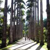 Best Botanical Gardens for Flora Collections cover