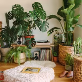 Main Ideas for Applying Boho Chic Decoration cover