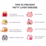 Top enfermedades prevenibles con una buena alimentación y estilo de vida cover