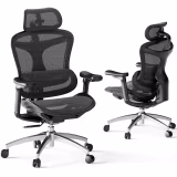Iconic Ergonomic Office Chairs for Long Hours cover