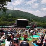 Best Music Festivals for Every Music Lover cover