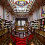 Icónicas bibliotecas y centros culturales que todo viajero debe visitar cover