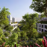 Terrazas urbanas convertidas en oasis verdes de paz cover