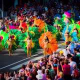 Best recreational establishments in Santa Cruz de Tenerife cover