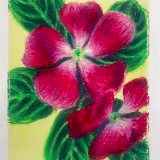 Pictures for my room cover