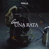 All songs by Walls cover