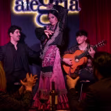 Best flamenco shows with dinner in Malaga cover