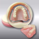 Mejores materiales poliméricos para aplicaciones dentales cover