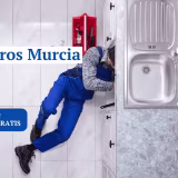 Mejores lampistas de calentadores y termos de Murcia cover