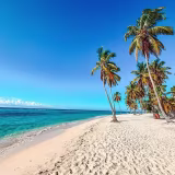 Top tour operators for the Dominican Republic cover