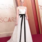 Most talked about Oscar dresses cover