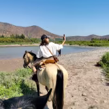 Best equestrian experiences in the Maipo Valley cover