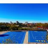 Best public primary schools in Madrid cover