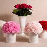 Best online preserved flower suppliers cover