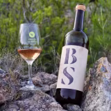 Best minimal intervention viticulture businesses in Spain cover