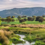 Espacios naturales protegidos de Castilla-La Mancha cover