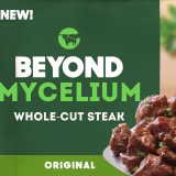 Innovation in plant-based products for online fast food cover