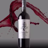 Best young red wines from Spain cover
