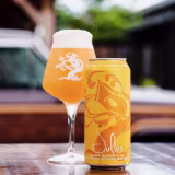 Best innovative NEIPA beers cover