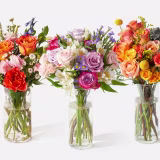 Best flower shops in Valencia cover