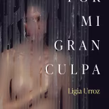 Contemporary novels about memory and silence cover