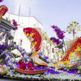 Best national float and parade group competitions cover