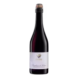 Best dry Lambruscos from Emilia-Romagna cover