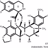 Best marine organisms with pharmaceutical potential cover