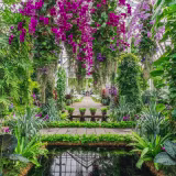 Best Indoor Flower Shows in the United States cover