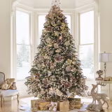 Most inspiring Christmas symbols cover