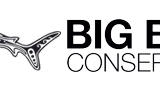 Best marine conservation organizations in Southeast Asia cover