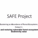 Best forest conservation initiatives in Asia cover