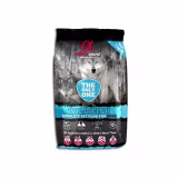 Best grain-free dog food for dogs in Spain cover